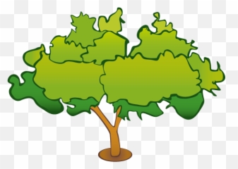 Almond Vector Tree Picture - Vector Graphics Png,Tree Canopy Png