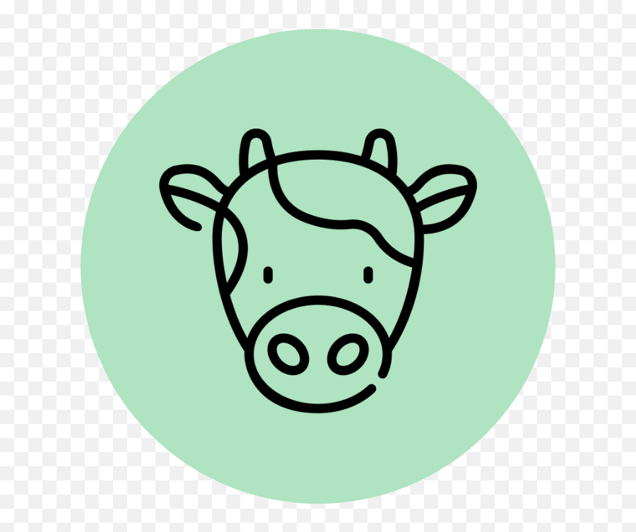 Treat Dreams Award Winning Vegan Chocolate Sydney Australia - Dot Png,Cow Face Icon