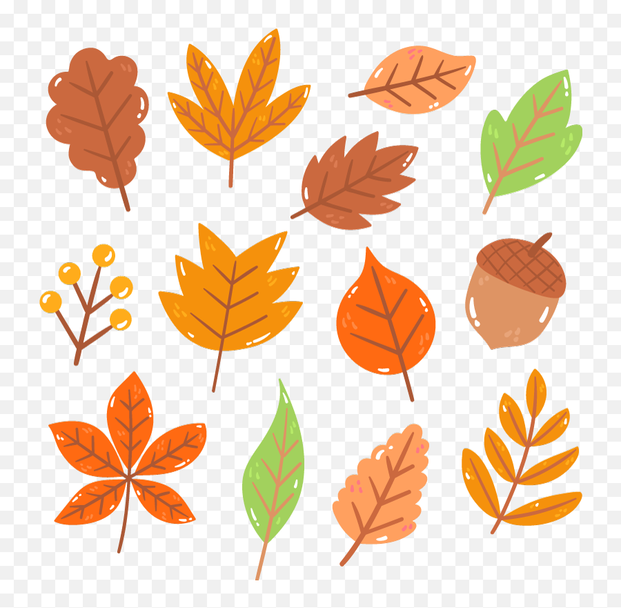 Autumn Leaves Plant Decals - Decorative Png,Autumn Leaf Icon