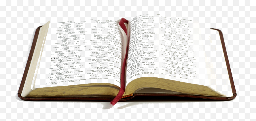 Holy Bible Png Vector Freeuse Library - Holy Bible Open Bible,Bible Png