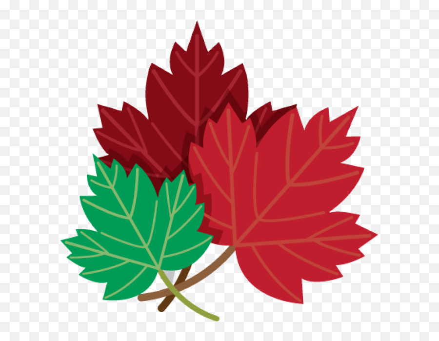 Red And Green Maple Leaves Png Image - Maple Leaves Drawing,Canada Leaf Png