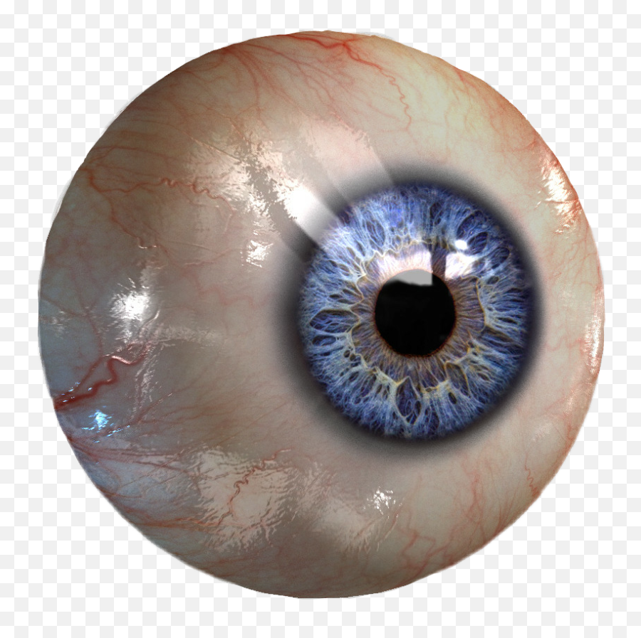 Jpg Royalty Free Library Eye Eyes - Eye Ball Png,Realistic Eye Png
