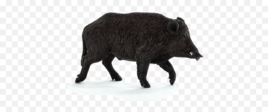 Boar Png - Wild Boar Png,Pig Transparent