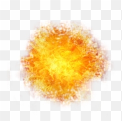 Fire Particles Png Clip Library - Macro Photography