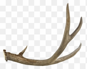 Free Transparent Antlers Png Images Page 1 Pngaaa Com - fiery antlers roblox