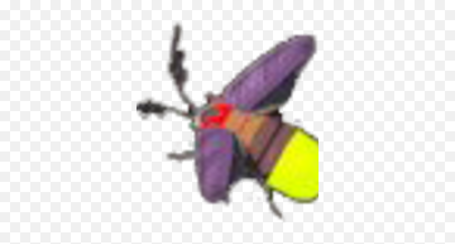 Sunset Firefly - Insects Png,Firefly Png