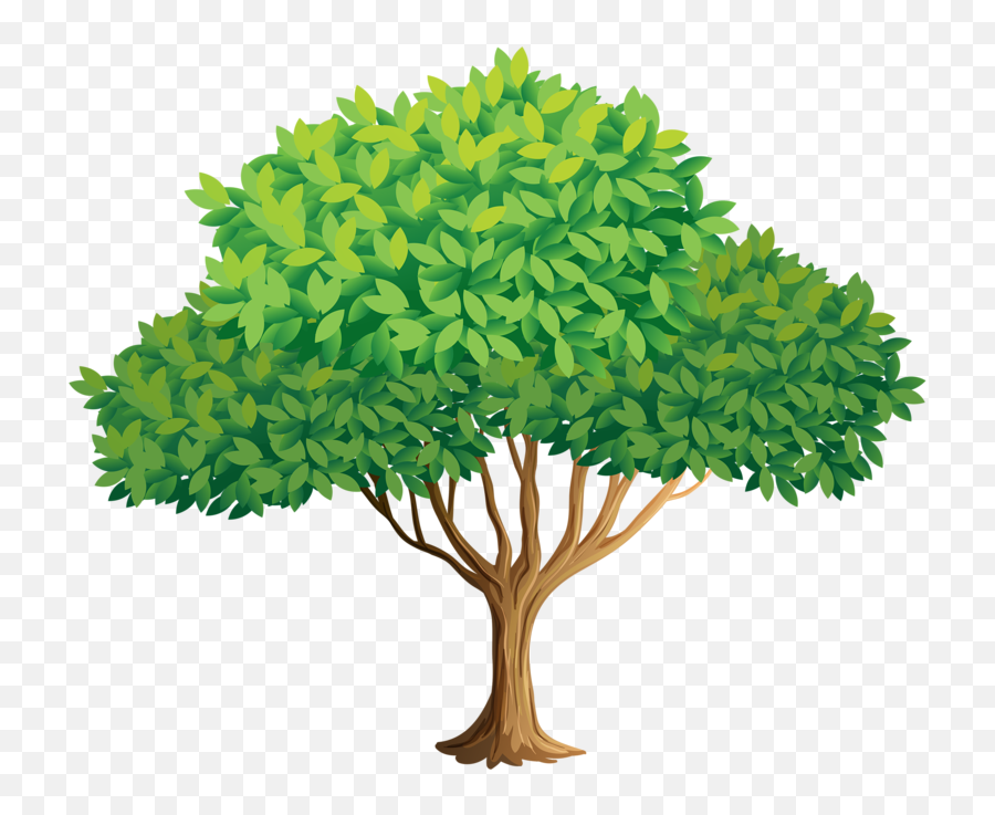 Photo From Album 1 - Tree In The Spring Clipart Png,Tree Of Life Png