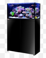 Lux Aquarium Tank System Black Color 2 Models Available - Octo Lux T60 Aquarium System Png,Fish Tank Png
