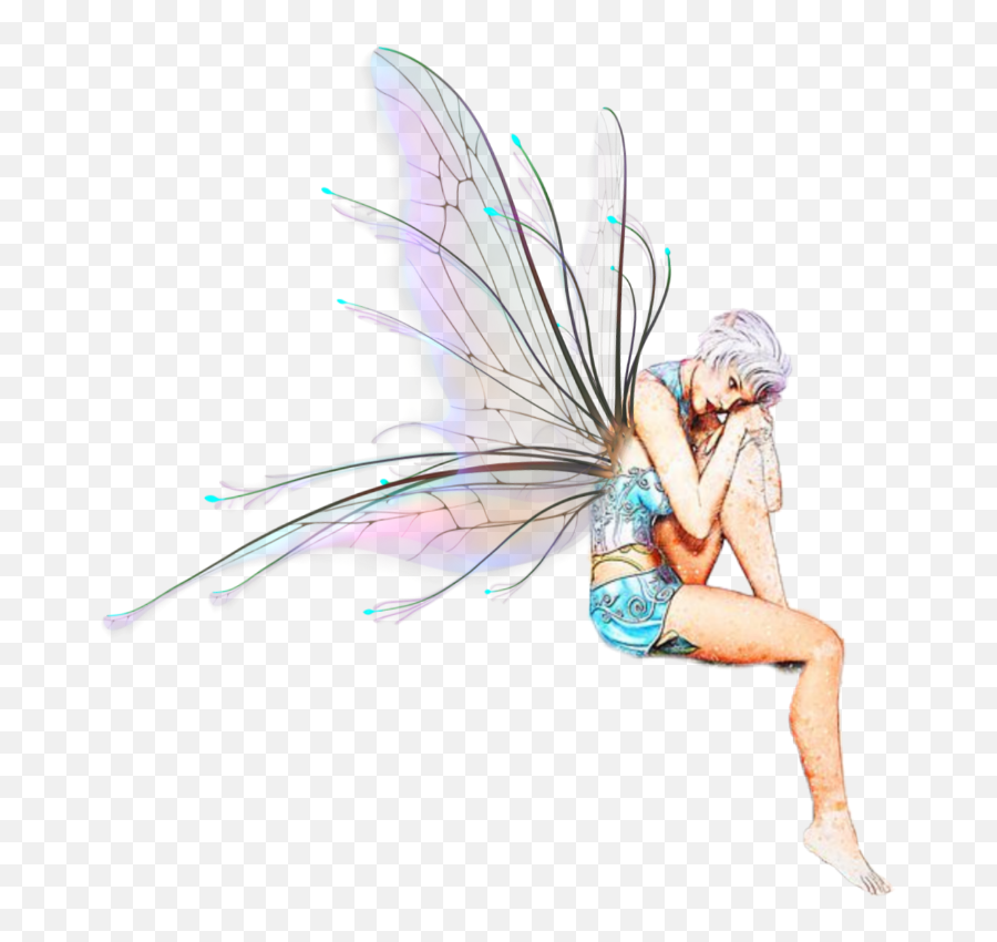 Fairy - Fairies Wings Png,Fairy Wings Png
