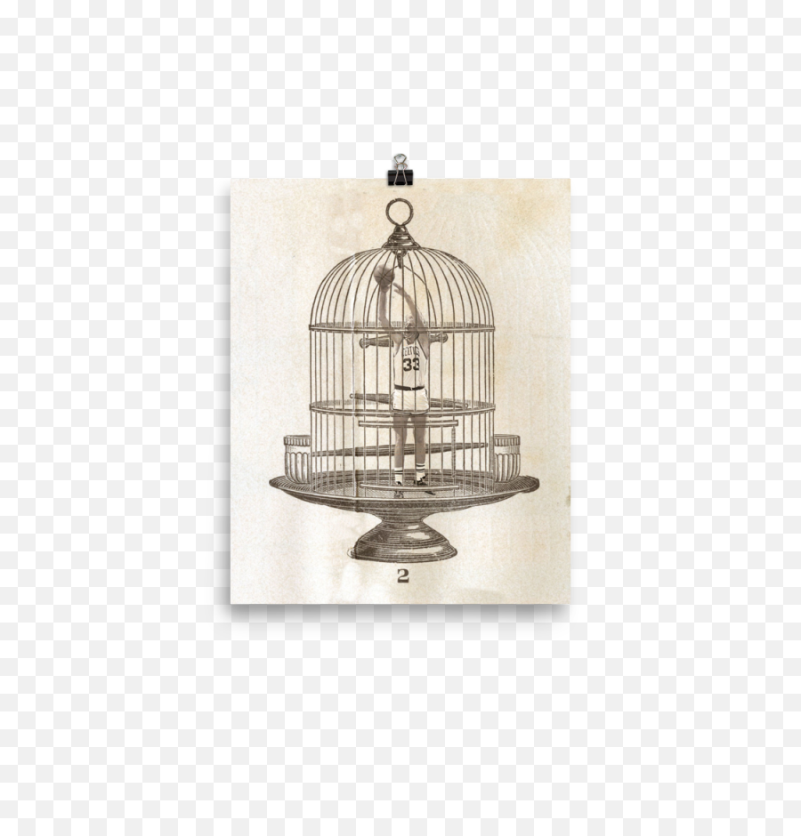 Download Hd Larry Bird In A Cage By Johnny Hollick - Flying Birdcage Art Png,Johnny Cage Png
