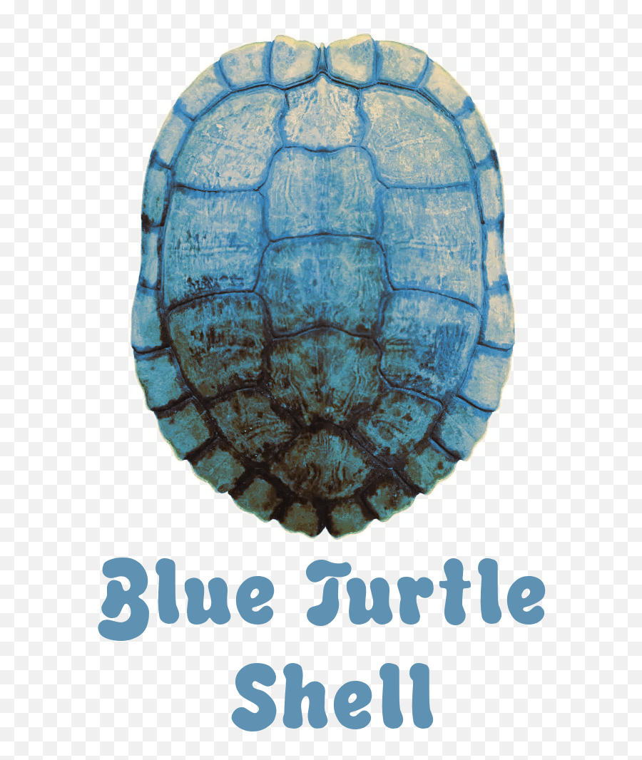 Welcome To Blue Turtle Shell - Circle Png,Shell Logo Png