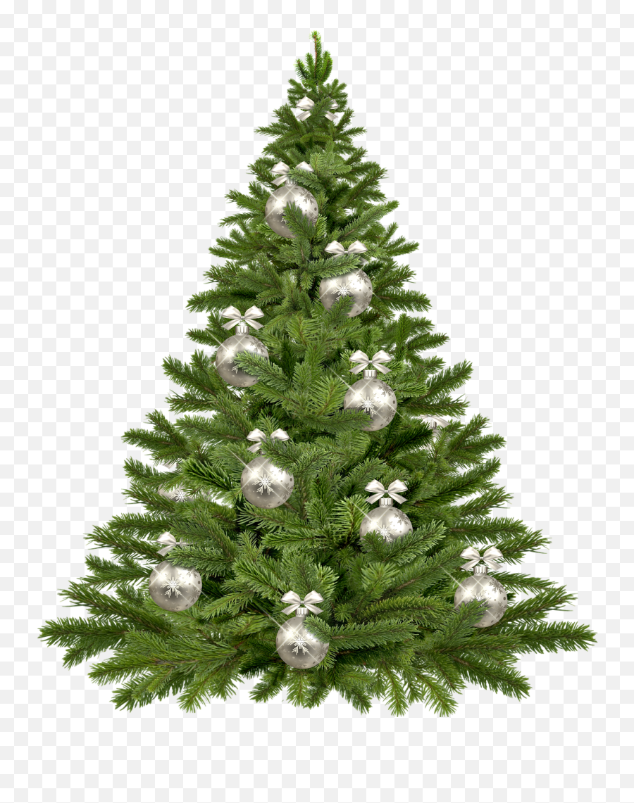 Vector Pine Tree 24 Buy Clip Art - Purple Christmas Tree Christmas ...