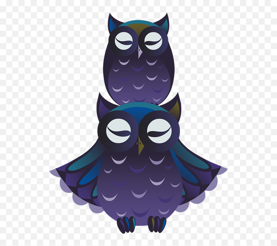 Baby Owl Clipart 11 Buy Clip Art - Png Gambar Burung Hantu Kartun Lucu,Owl Clipart Png