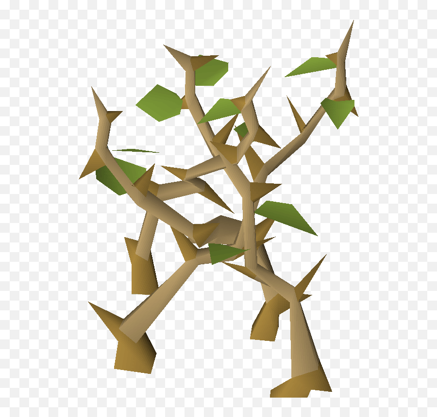 Light Jungle - Craft Png,Jungle Png