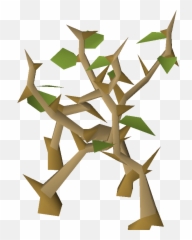 Light Jungle - Craft Png,Jungle Png