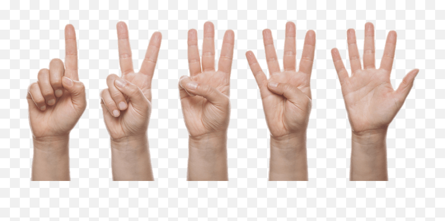 Download Hd Get Finger Load20180523 Masha Point - Finger Finger Counting Png,Point Finger Png