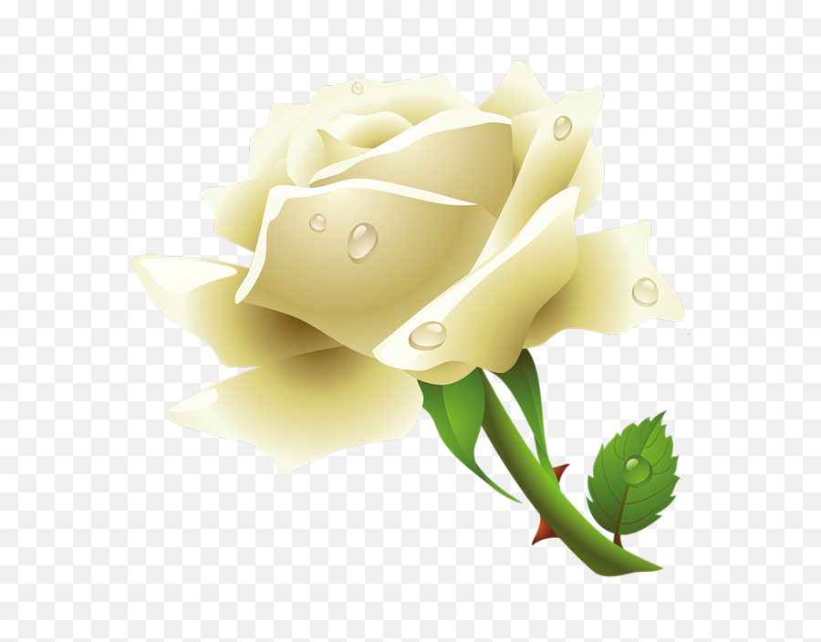 Download White Rose Free Png Transparent Image And Clipart - Transparent White Rose Png,Single Rose Png