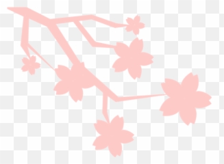 Free Online Sakura Flower Plant Pink Vector For - Language png