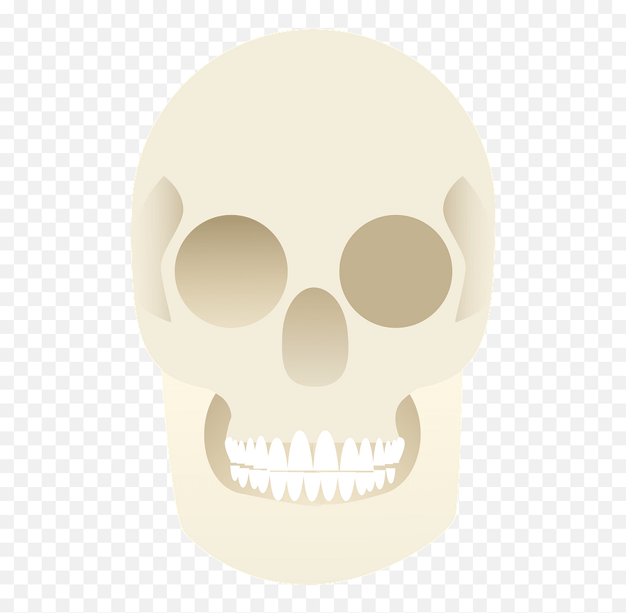 Skull Clipart Free Download Transparent Png Creazilla - Creepy,Skull Transparent Png