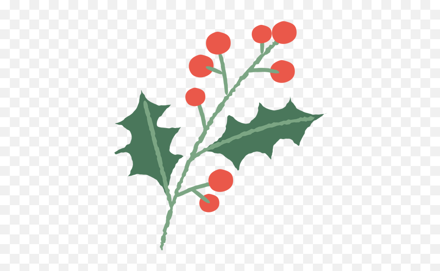 Mistletoe Branch Christmas Illustration - Transparent Png Ramas De Navidad Png,Mistletoe Transparent
