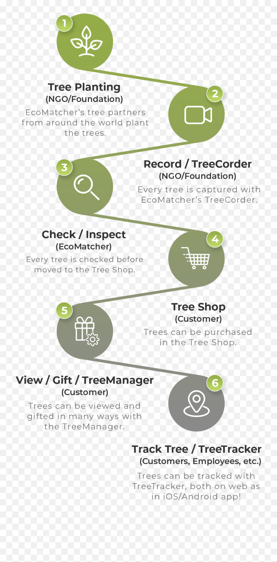 How It Works - Vertical Png,Transparent Tree