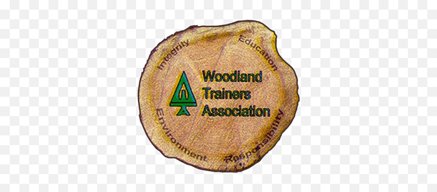 Woodland Trainers Association U2013 Forestry Training Courses - Dot Png,Chainsaw Logo