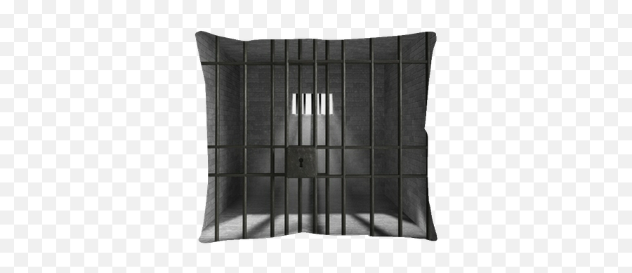 Old Grunge Prison Seen Through Jail Bars Throw Pillow U2022 Pixers - We Live To Change Solid Png,Transparent Jail Bars