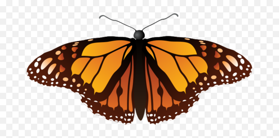 Free Butterfly 1198175 Png With - Monarch Cartoon Butterfly Transparent Background,Monarch Butterfly Icon