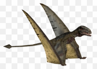 Zoo Png And Vectors For Free Download - Dlpngcom Dimorphodon Png,Zoo Tycoon 2 Icon