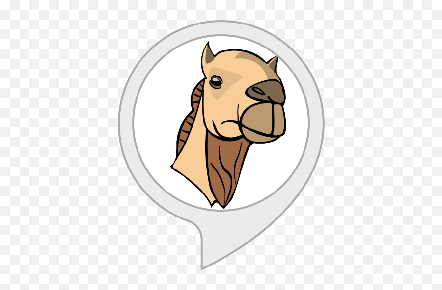 Amazoncom Camel Facts Alexa Skills - Head Of Camel Png,Camel Logo