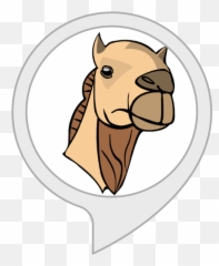 Amazoncom Camel Facts Alexa Skills - Head Of Camel Png,Camel Logo