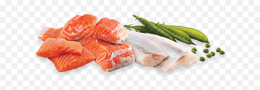 Crave With Protein From Salmon U0026 Ocean Fish - Lox Png,Ocean Fish Png