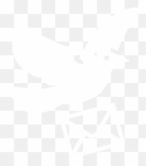 Swallow Identification Quick Guide Lycobirds Png
