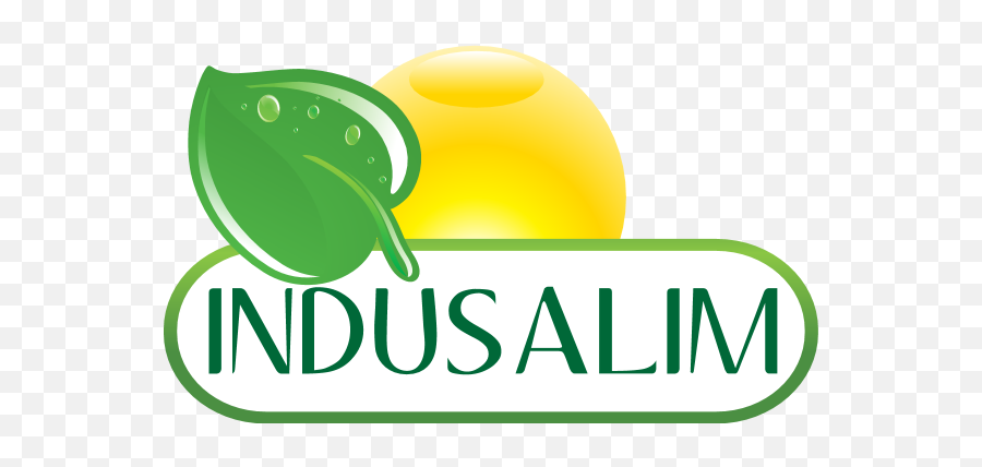 Indusalim Logo Download - Logo Icon Png Svg Sweet Lemon,100 Icon Facebook