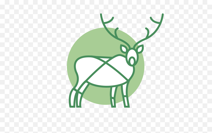 Caribou Clipart Antelope - Portable Network Graphics Png,Caribou Png