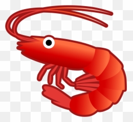 Shrimp Icon - Shrimp Clipart Png,Shrimp Png