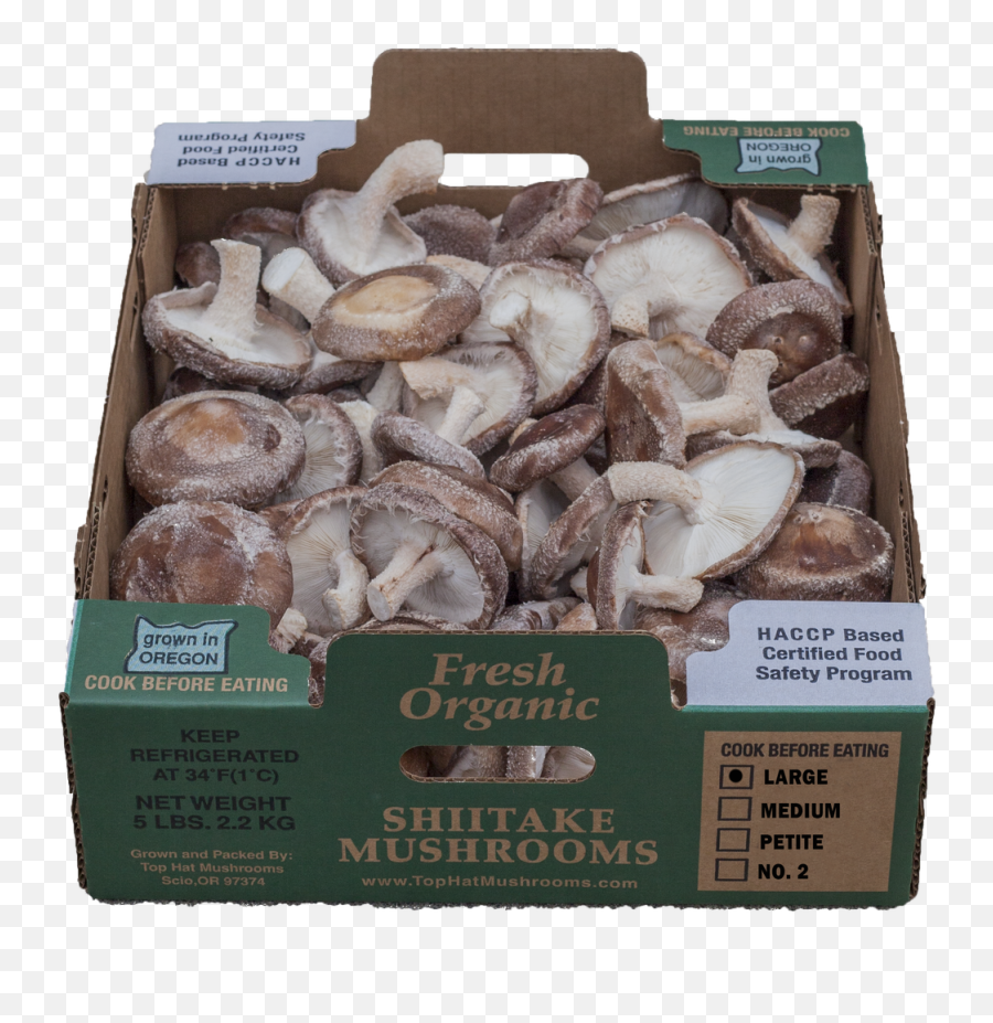 Products - Top Hat Mushrooms Shiitake Png,Mushroom Transparent Background