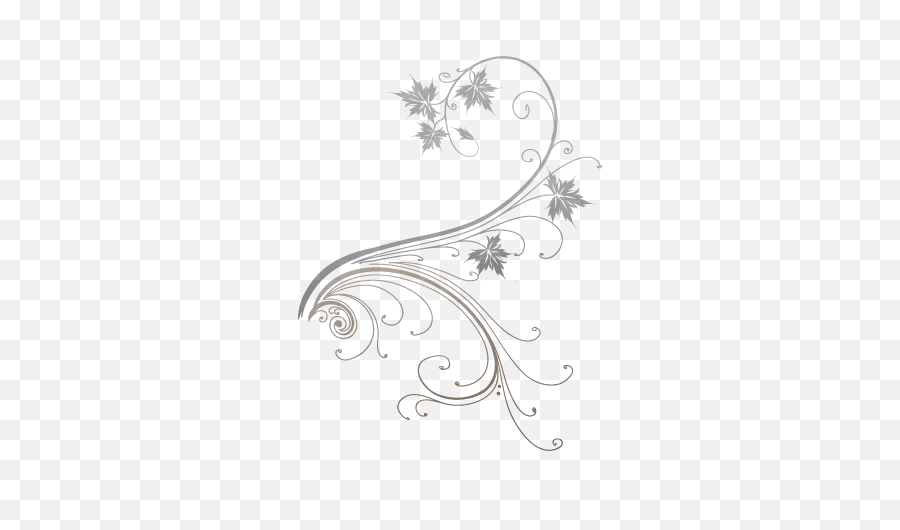 Download Vine - White Floral Vine Png,Flower Vine Png