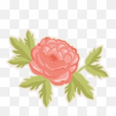 Free Peonies Cliparts Download Clip Art - Clip Art Peony Flower Png,Peonies Png