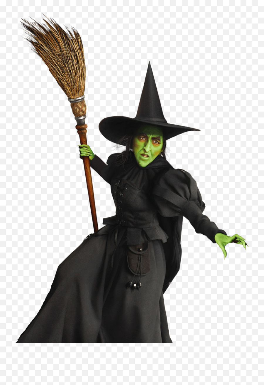 Download Witch Png Image For Free - Wizard Of Oz Wicked Witch,Witch Transparent Background