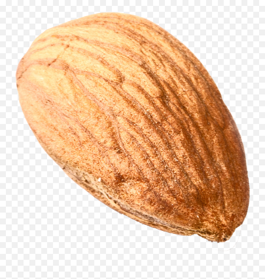 Nut Png Download Image - Nut Transparent Background,Nut Png
