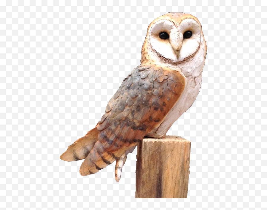 Owl Png Free Image - Barn Owl Ceramic Sculpture,Barn Owl Png