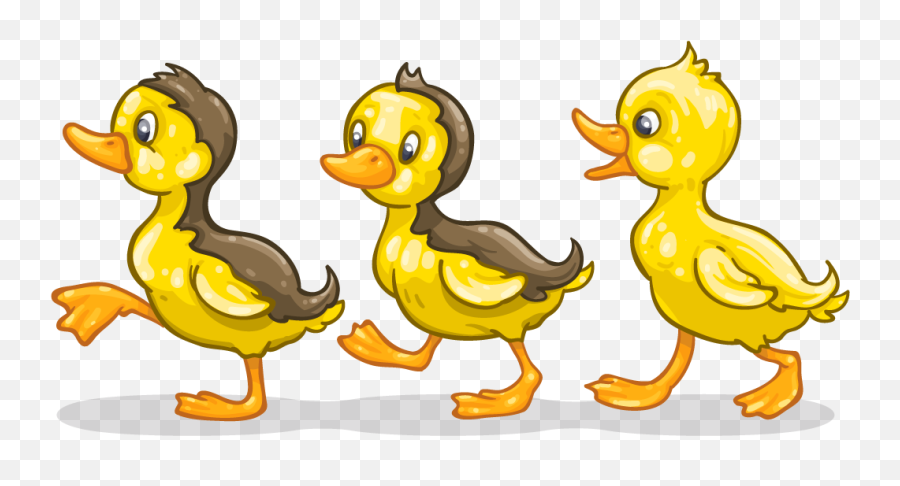 Download Ducklings In The Pond - Cartoon Ducks Png Png Image Transparent Duck Png Cartoon,Ducks Png