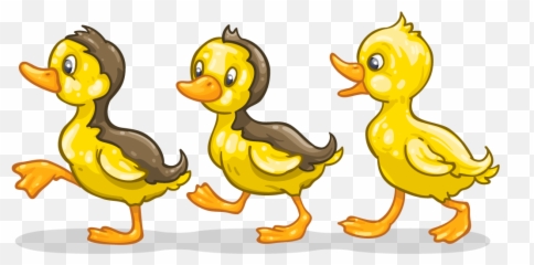 Download Ducklings In The Pond - Cartoon Ducks Png Png Image Transparent Duck Png Cartoon,Ducks Png