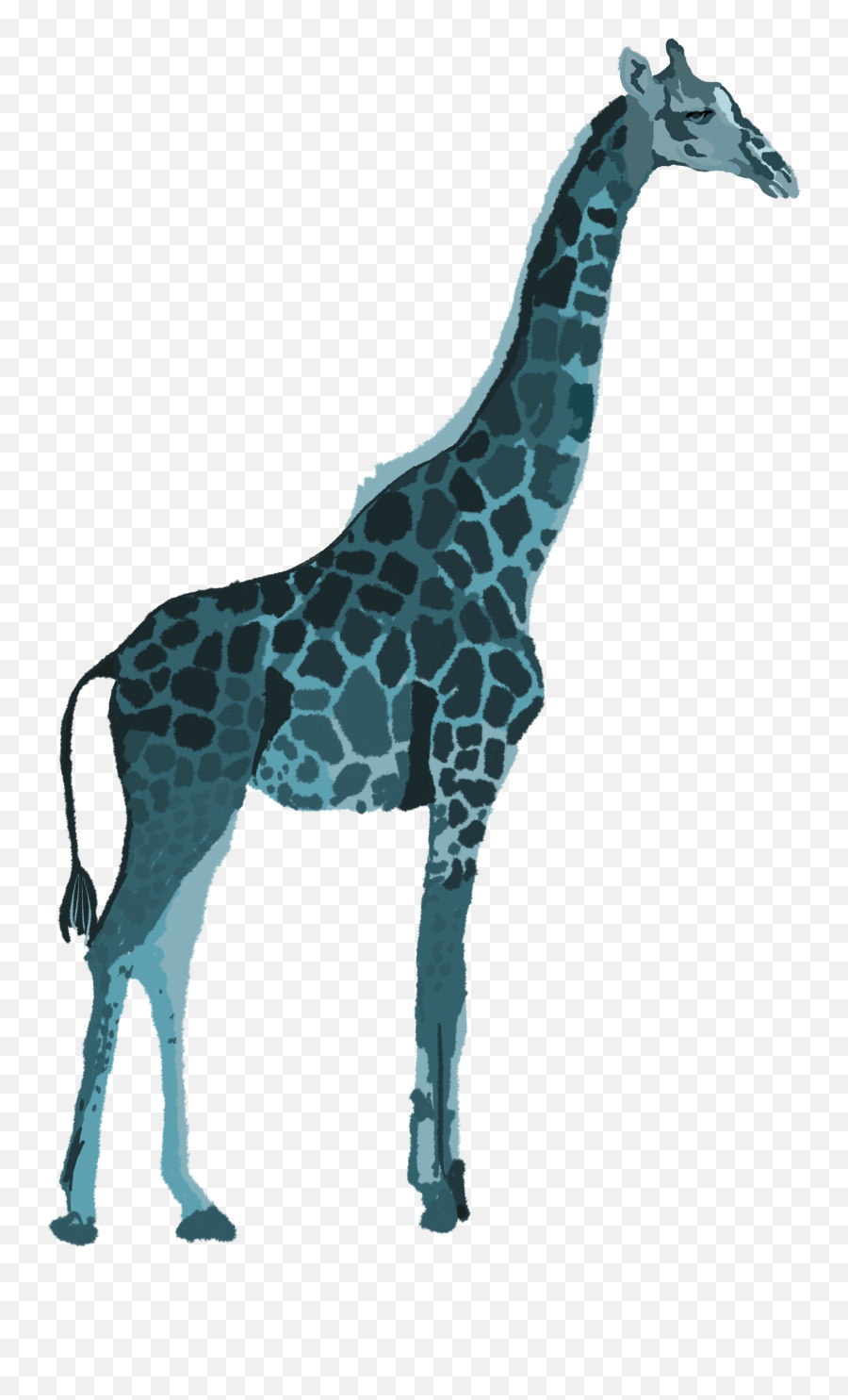 Giraffe Original Ordinary - Giraffe Png,Giraffe Png