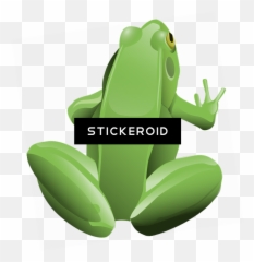 Download Back Of A Frog Cartoon Png - Clip Art