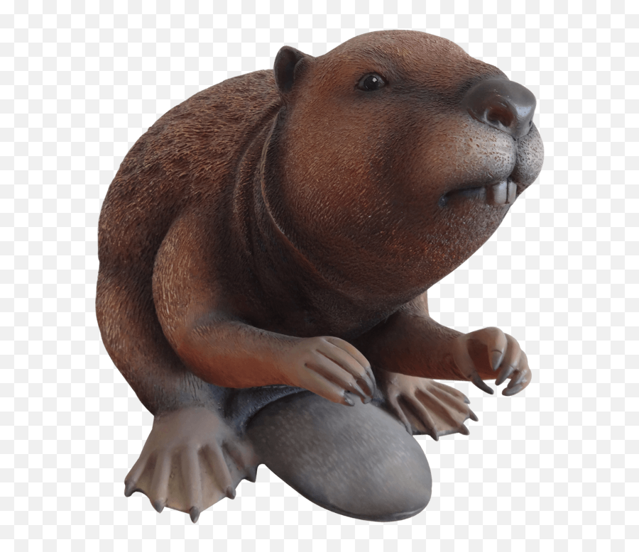 Rodent Beaver Life Size Forest Prop Resin Decor Statue - Statue Png,Beaver Transparent