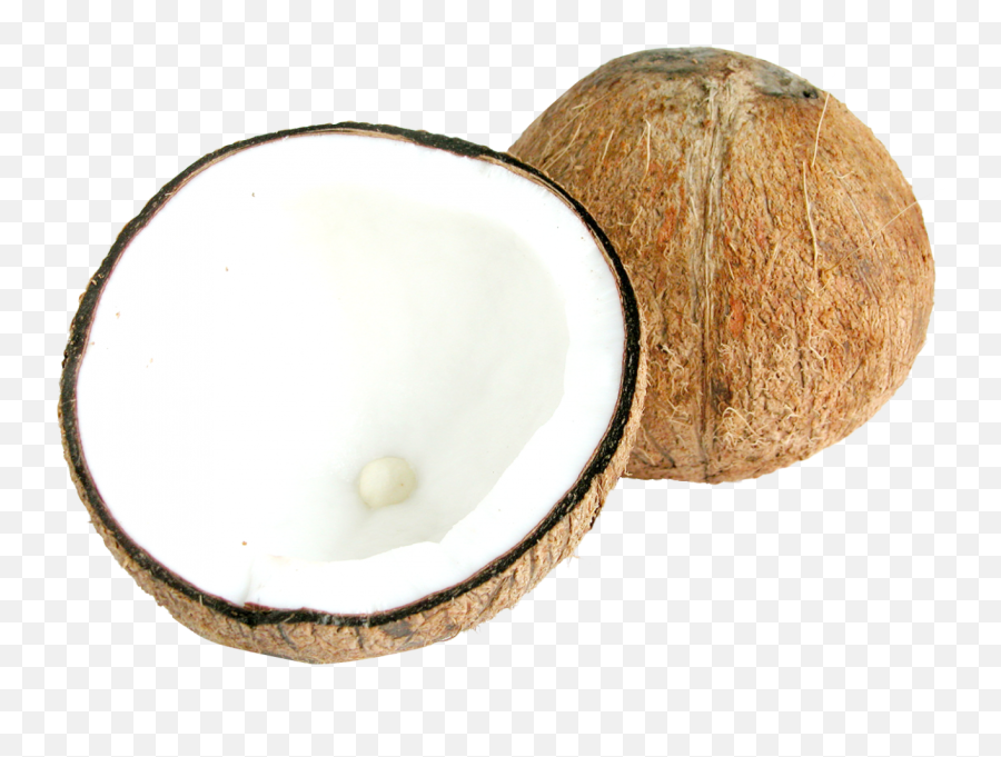 Two Half Coconuts Png Image - Half Coconut Shell Png,Coconut Transparent