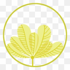 We Are Seaweed - Art Png,Kelp Png