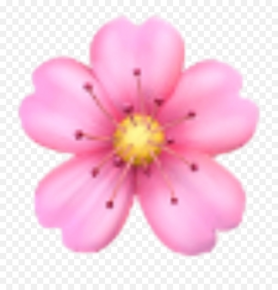 Flower Sakura Emoji Emojis Rose Sticker - Iphone Flower Emoji Png,Sakura Png